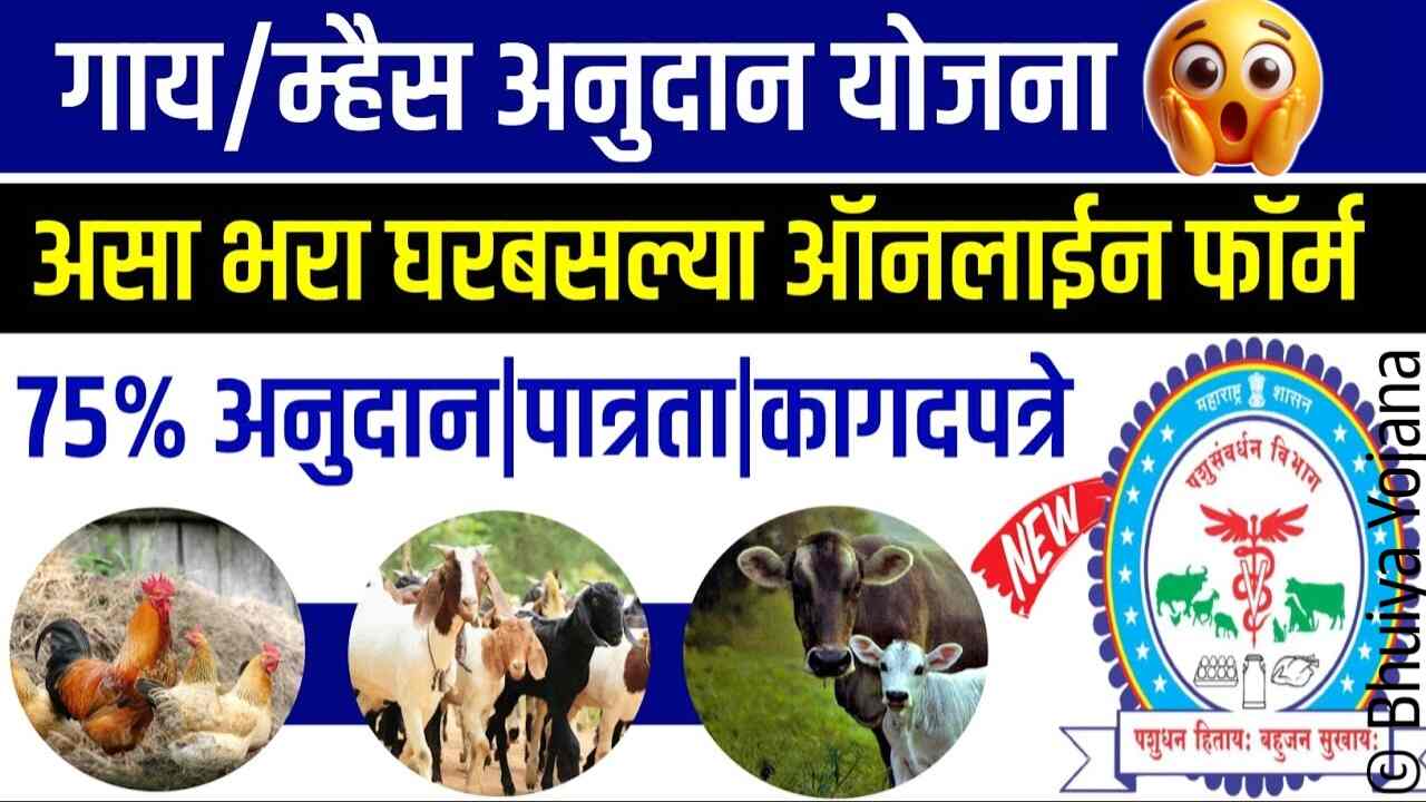मोफत गाय, म्हैस अनुदान योजना अर्ज कसा करावा? संपूर्ण माहिती पहा Gai Mahis Anudan Yojana