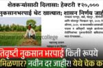 अतिवृष्टी नुकसान भरपाई किती रूपये मिळणार? नवीन दर जाहीर! येथे चेक करा Crop Insurance 2025 List